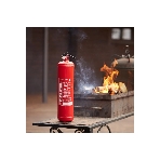 Огнетушитель порошковый МИГ ОП-3(з)-ABCE - 110 (2A, 55B, C, E)