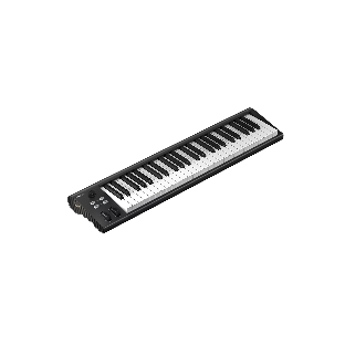 MIDI клавиатура 110105A2030 Icon Artist 49