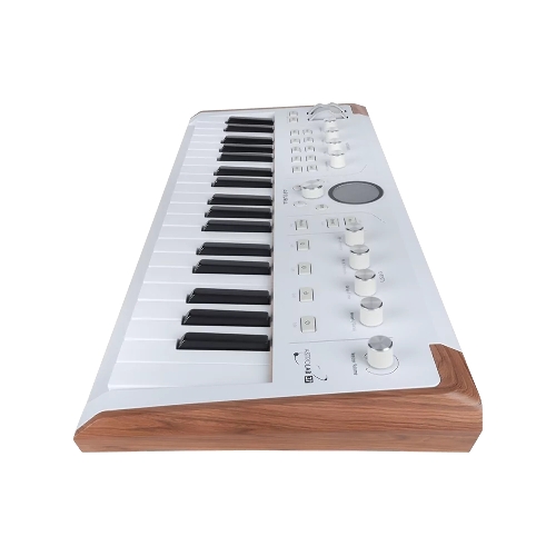 Сценическая клавиатура 230721 Arturia AstroLab 37 White Astrolab White 37 клавиш, полувзвешенная механика, 10 звуковых движков, вокодер, 10 кнопок пресетов, 4 макрорегулятора, MIDI-вход, USB-C и USB-A; аудио Bluetooth; WiFi, цвет белый