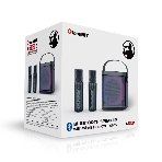 Переносная караоке система TRS2406 iconBIT K702B Колонка 10Вт, 2 микрофона Bluetooth, подсвктка, с аккумулятор в колонке 1500mAh и микрофонах, 16*12*16.7 CM, черный