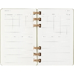 Еженедельник Moleskine ACADEMIC SPIRAL DHSPK5212AMWH3 Large 150х210 мм 200 стр. кремовые страницы спираль киви