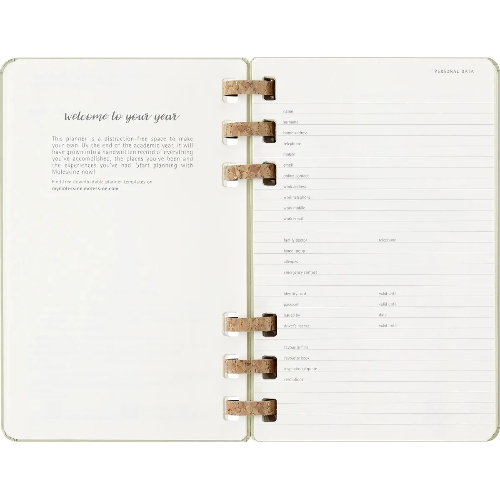 Еженедельник Moleskine ACADEMIC SPIRAL DHSPK5212AMWH3 Large 150х210 мм 200 стр. кремовые страницы спираль киви
