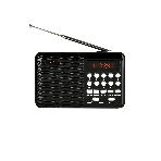 Радиоприемник PERFEO (PF_D0566) PALM, черный