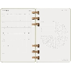 Еженедельник Moleskine ACADEMIC SPIRAL DHSPK5212AMWH3 Large 150х210 мм 200 стр. кремовые страницы спираль киви