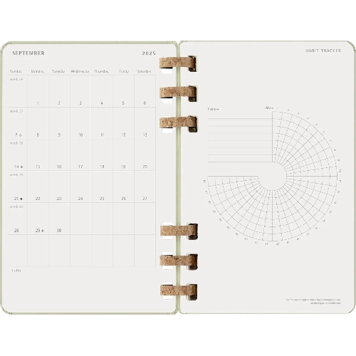 Еженедельник Moleskine ACADEMIC SPIRAL DHSPK5212AMWH3 Large 150х210 мм 200 стр. кремовые страницы спираль киви