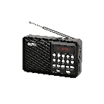 Радиоприемник PERFEO (PF_D0566) PALM, черный