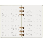 Еженедельник Moleskine ACADEMIC SPIRAL DHSPK5212AMWH3 Large 150х210 мм 200 стр. кремовые страницы спираль киви