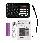 Радиоприемник PERFEO (PF_D0566) PALM, черный