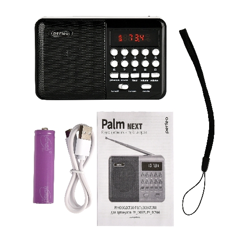 Радиоприемник PERFEO (PF_D0566) PALM, черный
