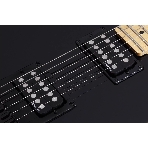 Электрогитара SCHECTER PT M/M - электрогитара 6-струнная, BLK