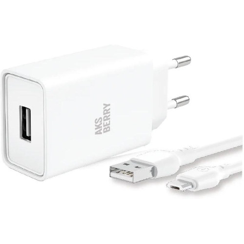 Зарядное устройство Aksberry T40 1USB 24A + MicroUSB (белый)