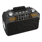 Радиоприемник SOUNDMAX SM-RD2114UB черный