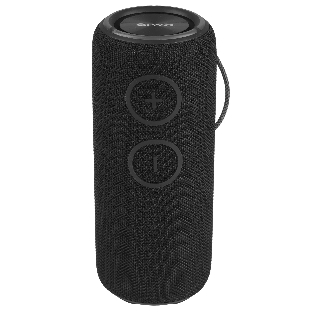 Колонка беспроводная AIWA PAS-H300 черный