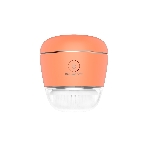 Щетка (д/очистки лица) Rowenta LV4010F0