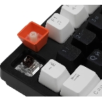 Клавиатура проводная Defender Hawk GK-418, USB, черный/белый