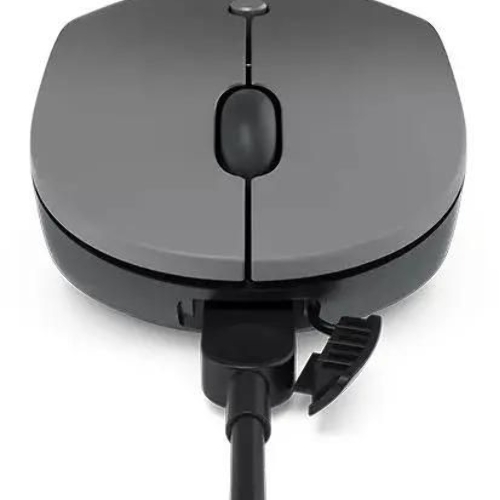 Мышь беспроводная Lenovo Go серый, 2400 dpi, радиоканал, USB-C, кнопки - 3