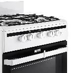 Плита газовая Hansa FCGW51001 белый, конфорок 4 шт, духовка 56 л, 50 см x 85 см x 60 см