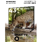 Телевизор Soundmax 43