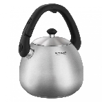 Чайник металлический Rondell Esfera RDS-1656, 3л, стальной