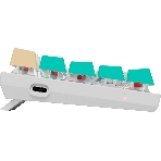 Клавиатура Defender Vexx Pro GK-084 проводная, USB Type-A, белый