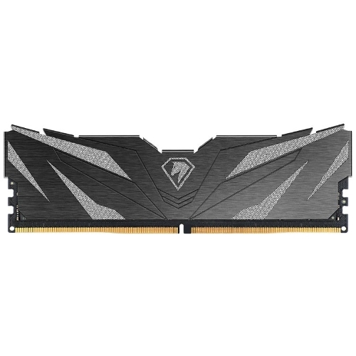 Оперативная память Netac Shadow II, DDR5, 16Gb (1x16 GB), 6000 MHz, CL38, DIMM, радиатор, черный