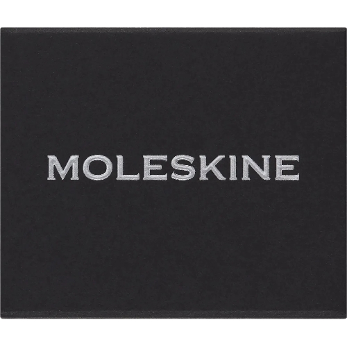 Шильд-символ Moleskine Zodiac Стрелец, металл, серебристый, коробка с европодвесом, PINSAGITTARIUSSILV