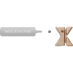 Шильд-символ Moleskine Zodiac Рыбы, металл, золотистый, коробка с европодвесом, PINPISCESGOLD