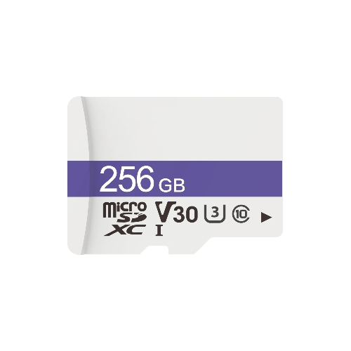 Флеш карта Dahua DHI-TF-C100/256Gb C100 microSD Read 95 MB/s C10/U3/V30 256 Gb