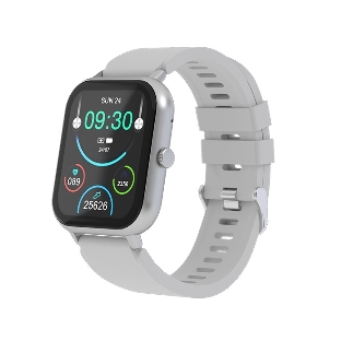 Умные часы Maxvi SW-02 grey