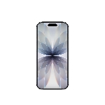 Смартфон Apple iPhone 17 A3519 8/256Gb черный