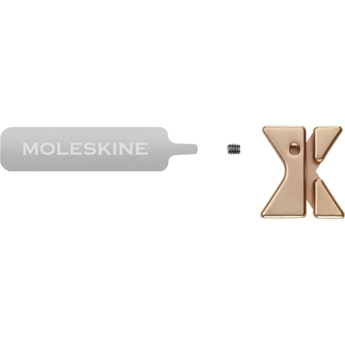 Шильд-символ Moleskine Zodiac Козерог, металл, золотистый, коробка с европодвесом, PINCAPRICORNGOLD