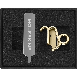 Шильд-символ Moleskine Zodiac Козерог, металл, золотистый, коробка с европодвесом, PINCAPRICORNGOLD