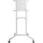 Стойка для телевизора Cactus CS-ST1146WT белый, 37