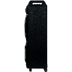 Акустическая колонка Dialog Oscar AO-220 1.0, 100W RMS, Караоке с беспр. микр, BT/FM/USB/SD/GT