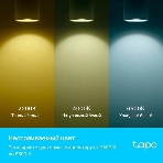 Умная многоцветная Wi-Fi спот-лампа TP-Link Tapo L630