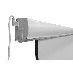 Экран с электроприводом Lumien Master Control 254x400 см (181