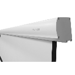 Экран с электроприводом Lumien Master Control 254x400 см (181