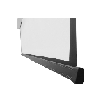 Экран с электроприводом Lumien Master Control 254x400 см (181