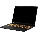 Ноутбук ASUS TUF Gaming F16 FX608JMR-RV114 Intel Core i7 14650HX 2200MHz/16