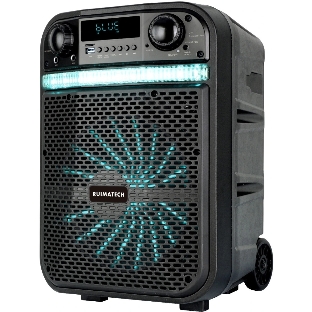 Акустическая система RUIMATECH VA-8610