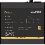 Блок питания 750W Ocypus Iota P750 (ATX, 80 PLUS Gold, APFC, 20+4 pin, 120мм fan, PCI-E 6+2Px3, 8xSATA) (Iota-P750-G1FFBK024X-EU)