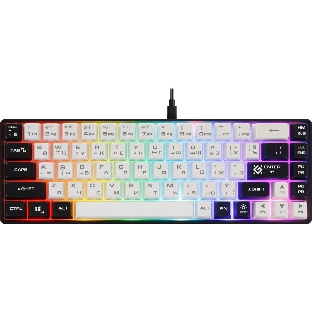 Клавиатура проводная игровая Defender Aris GK-349 RU,черный/белый,68кн+FN,радуж,1.5м