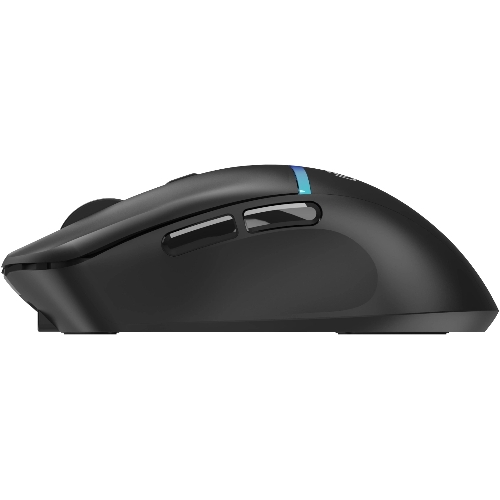 Мышь беспроводная Oklick 775GW черный, 5000 dpi, радиоканал, Bluetooth, USB, кнопки - 6