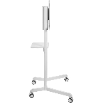 Стойка для телевизора Cactus CS-ST1146WT белый, 37