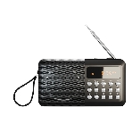 Радиоприемник SOUNDMAX SM-RD2116 черный