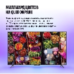 Телевизор Яндекс 43