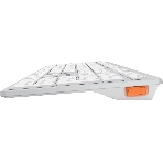 Клавиатура беспроводная A4Tech Fstyler FBX50C, USB, Bluetooth/Радиоканал, белый
