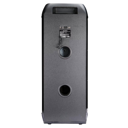 Акустическая система RUIMATECH VA-7306