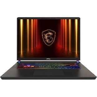 Ноутбук без сумки MSI Vector 17 HX A2XWJG Ultra9 275HX 17