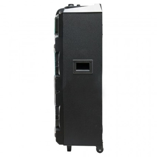 Колонка Eltronic 10